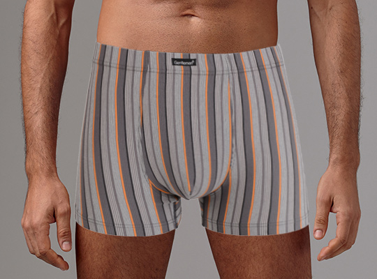 Трусы мужские GENTLEMEN GS7866 шорты, бежевый Gentlemen